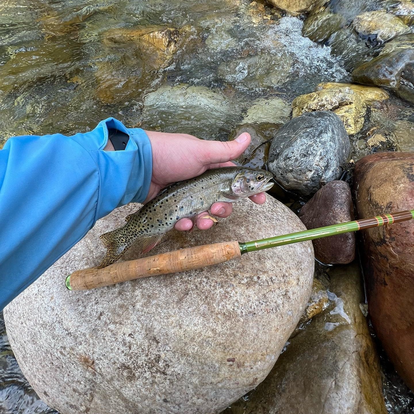 "Baby" RodZilla Fishing Rod