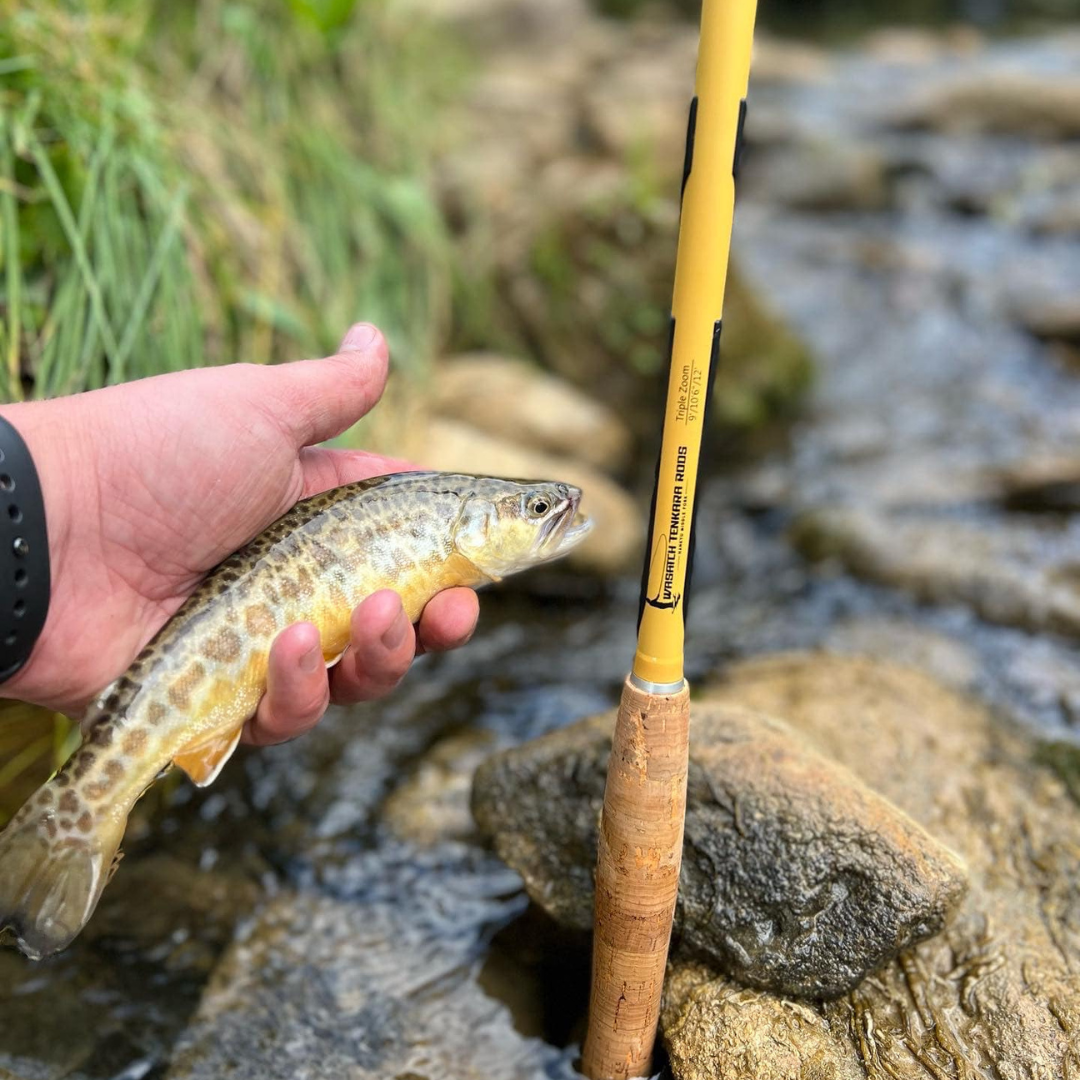 Hankyu Middle Fork Fishing Rod
