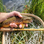 Hankyu Middle Fork Fishing Rod