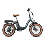 VTUVIA SF20H Utility Ebike