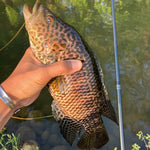 RodZilla Fishing Rod