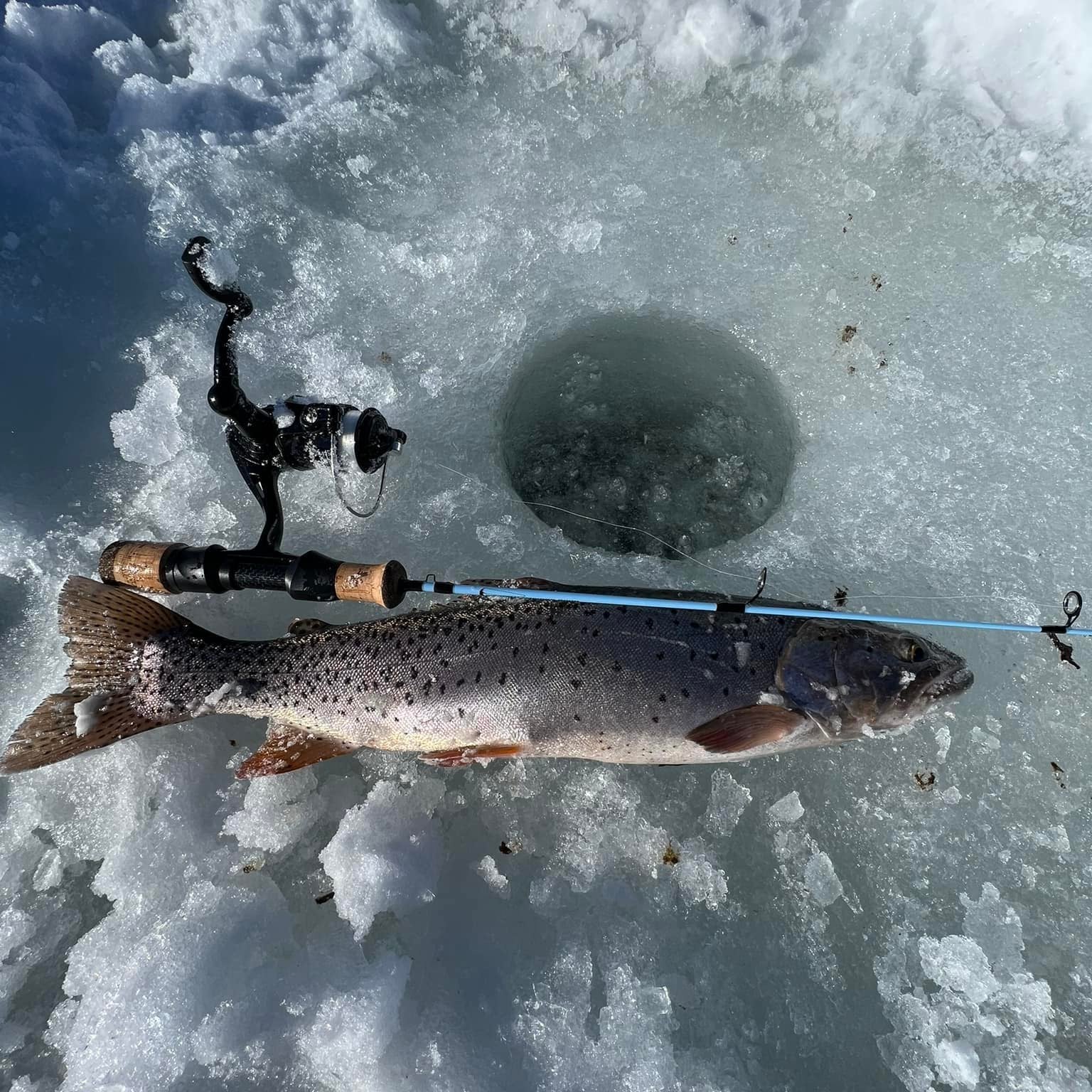 Winterhawk Ice Fishing Rod