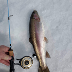 Winterhawk Ice Fishing Rod