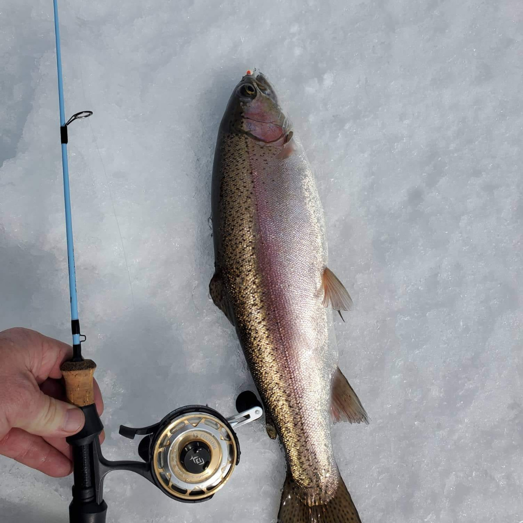 Winterhawk Ice Fishing Rod