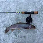 Ice Breaker Fishing Rod