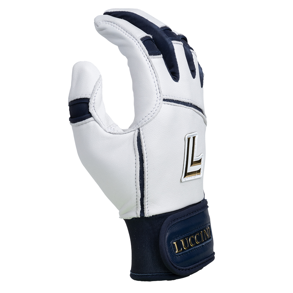 Legacy Series | White/Navy