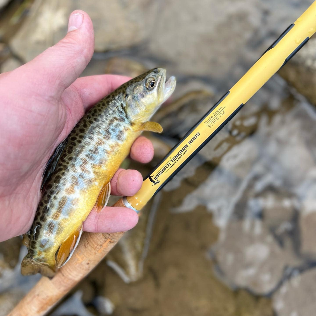 Hankyu Middle Fork Fishing Rod