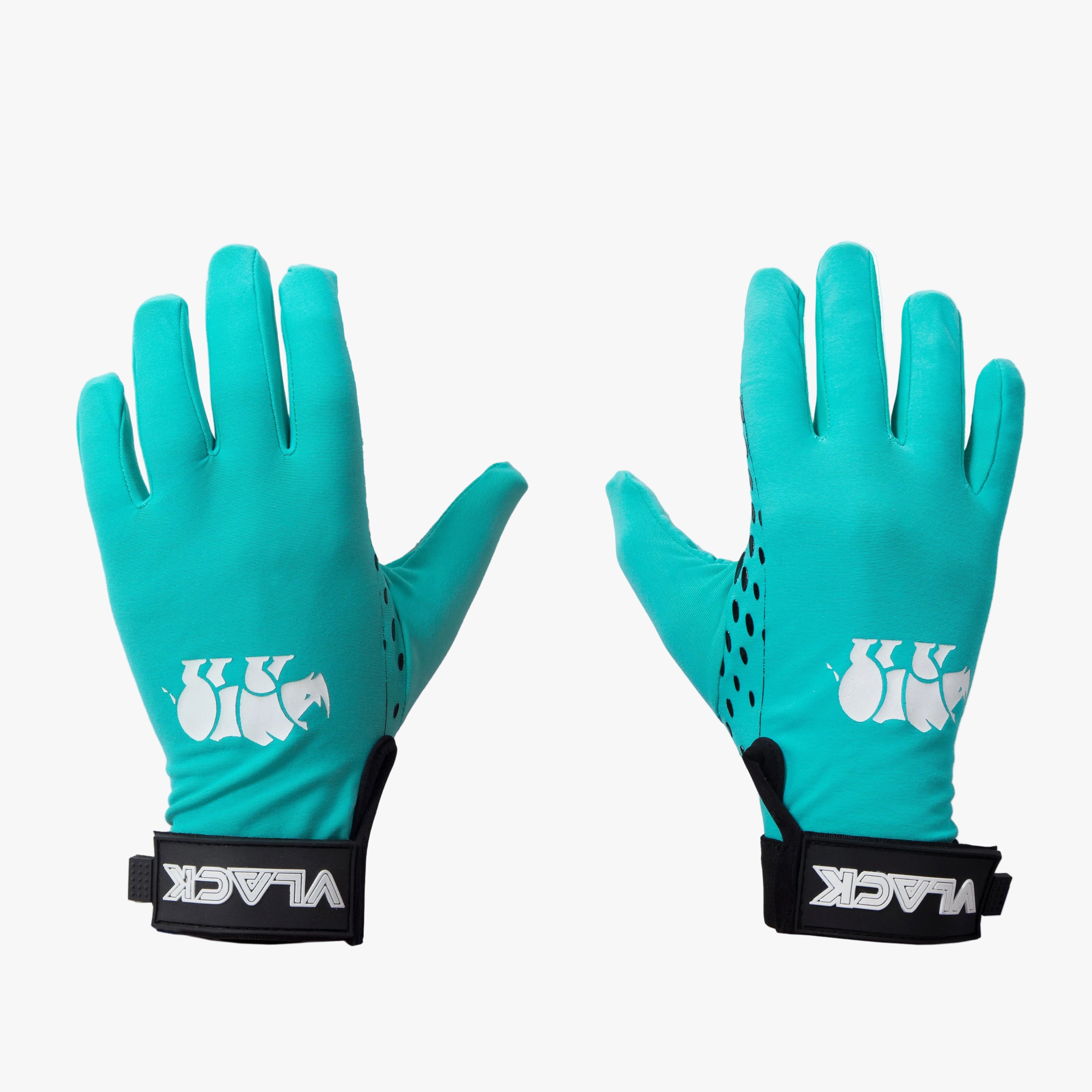 WINTER GLOVE