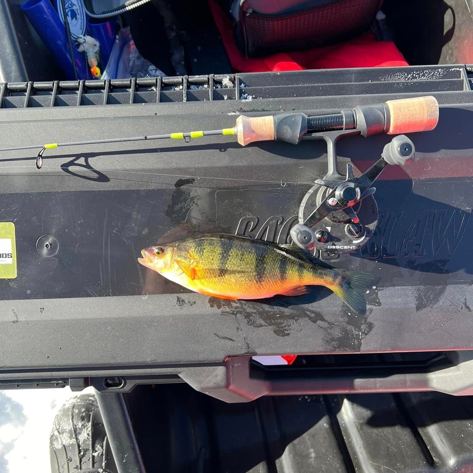 Ice Breaker Fishing Rod