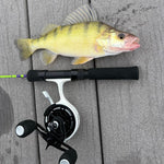 The Joker "Co-Designed by Shifty Outdoors" Ice Fishing Rod