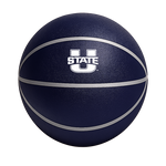 Color Splash QT BNZ Basketball