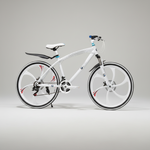 Cross Country Mountain Bike with Dual Disc Brake