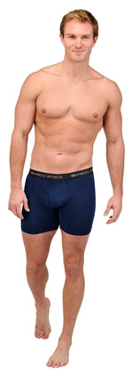 Men's 4" Inseam Bamboo Rayon Boxer Briefs | 4-Pack