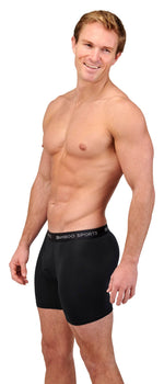 Men's 4" Inseam Bamboo Rayon Boxer Briefs | 4-Pack