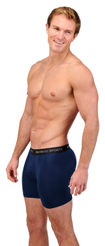 Men's 4" Inseam Bamboo Rayon Boxer Briefs | 4-Pack