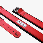 BESTIA DOG SPORT COLLAR