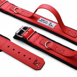 BESTIA DOG SPORT HANDLE COLLAR