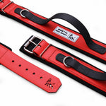 BESTIA DOG SPORT HANDLE COLLAR