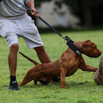 BESTIA DOG SPORT Tactical Leash