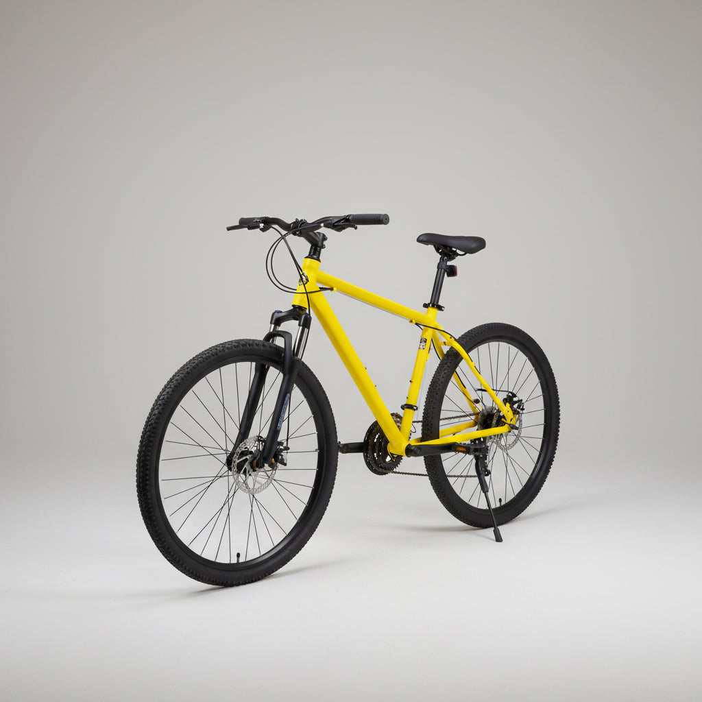 Cross Country Mountain Bike with Dual Disc Brake
