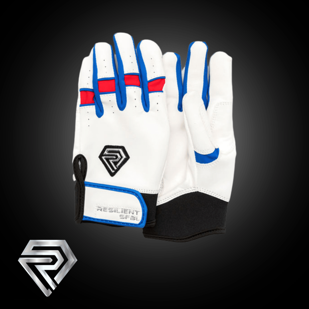 Dream Swing Series | Fastpitch Batting Gloves
