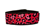 BKX Straight 4" Belt