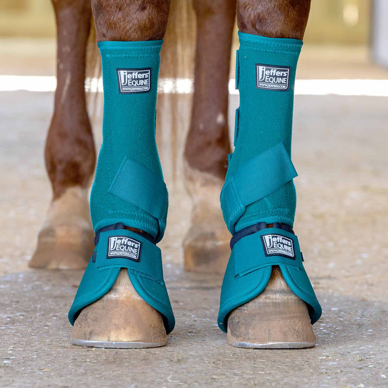 Jeffers Protective Horse Boots Solid Colors | 2-Pack
