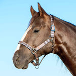 Jeffers Matching Horse Halter & Lead Rope 2-Piece Set | Full Size