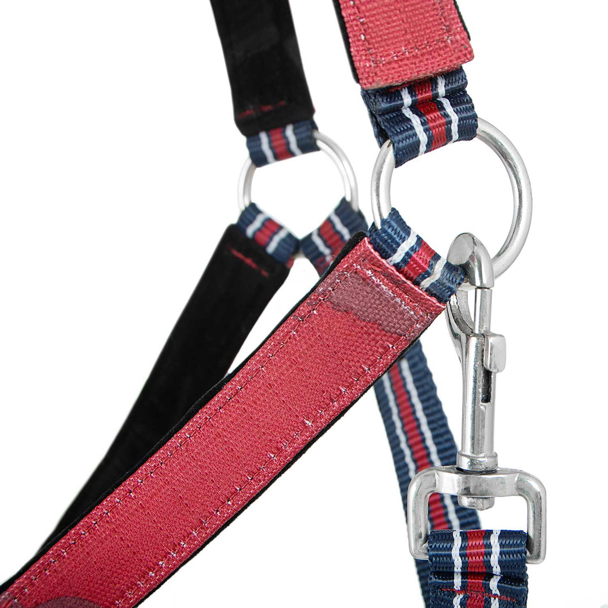 Jeffers Matching Horse Halter & Lead Rope 2-Piece Set | Full Size