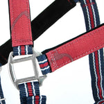 Jeffers Matching Horse Halter & Lead Rope 2-Piece Set | Full Size