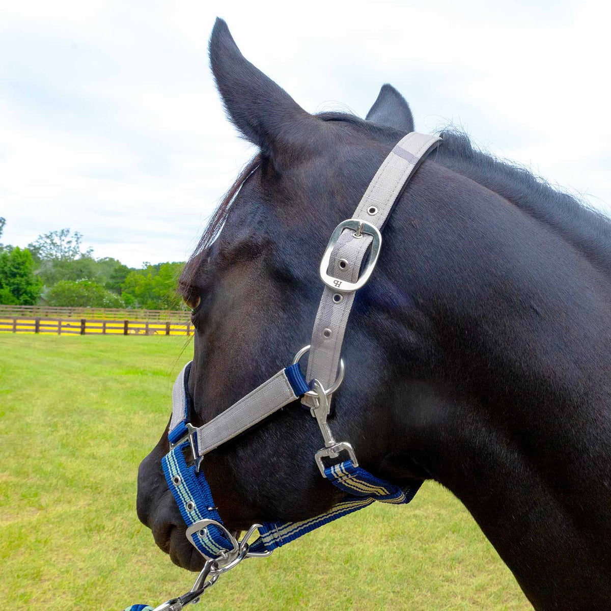 Jeffers Matching Horse Halter & Lead Rope 2-Piece Set | Full Size
