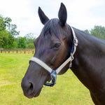Jeffers Matching Horse Halter & Lead Rope 2-Piece Set | Full Size