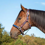 Jeffers Matching Horse Halter & Lead Rope 2-Piece Set | Full Size
