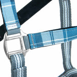 Jeffers Matching Horse Halter & Lead Rope 2-Piece Set | Full Size