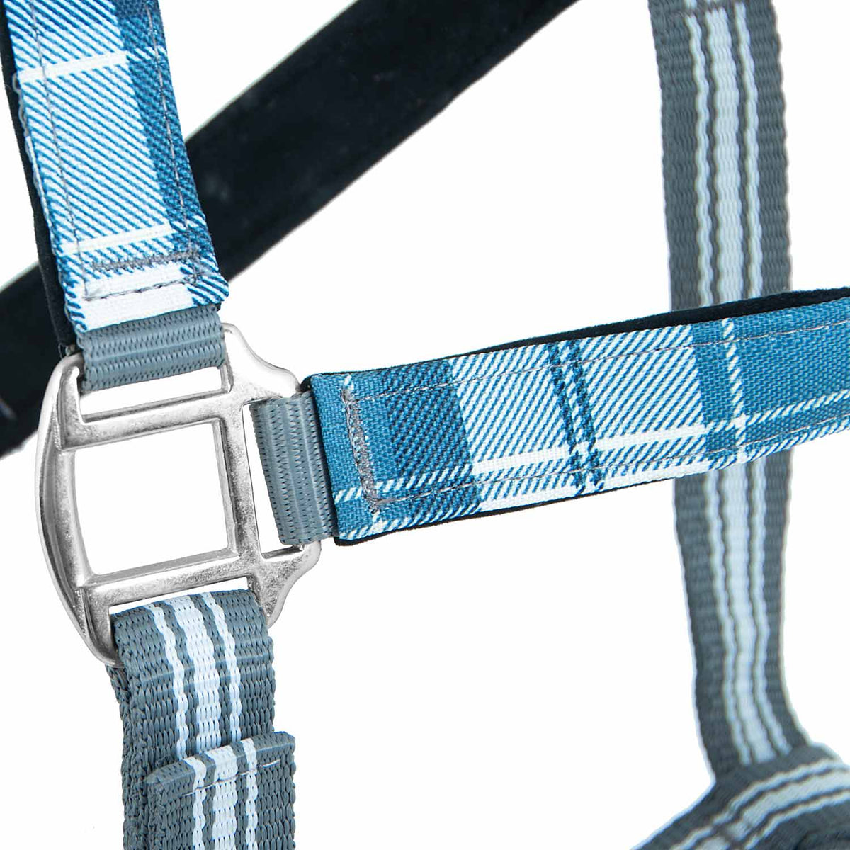 Jeffers Matching Horse Halter & Lead Rope 2-Piece Set | Full Size