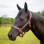 Jeffers Matching Horse Halter & Lead Rope 2-Piece Set | Full Size
