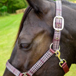 Jeffers Matching Horse Halter & Lead Rope 2-Piece Set | Full Size