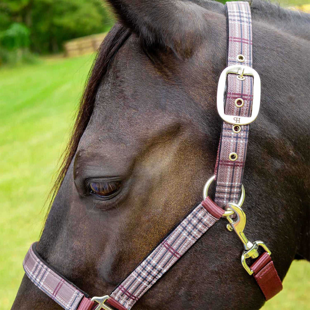 Jeffers Matching Horse Halter & Lead Rope 2-Piece Set | Full Size