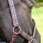 Jeffers Matching Horse Halter & Lead Rope 2-Piece Set | Full Size