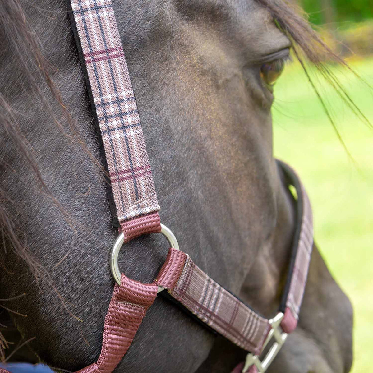 Jeffers Matching Horse Halter & Lead Rope 2-Piece Set | Full Size