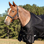Jeffers Matching Horse Halter & Lead Rope 2-Piece Set | Full Size