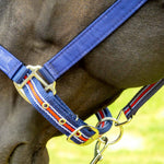 Jeffers Matching Horse Halter & Lead Rope 2-Piece Set | Full Size