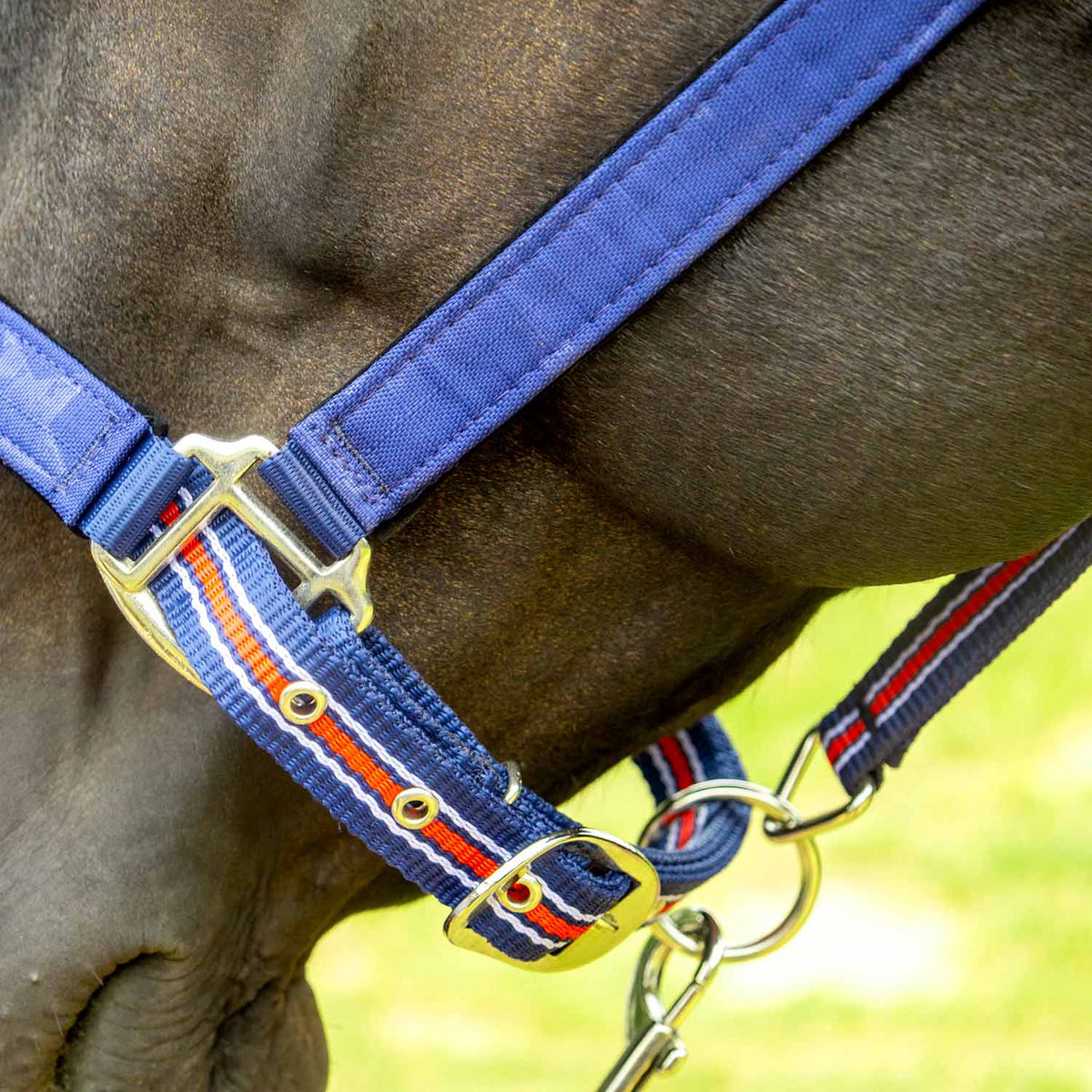 Jeffers Matching Horse Halter & Lead Rope 2-Piece Set | Full Size