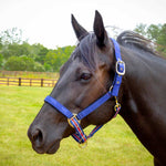 Jeffers Matching Horse Halter & Lead Rope 2-Piece Set | Full Size