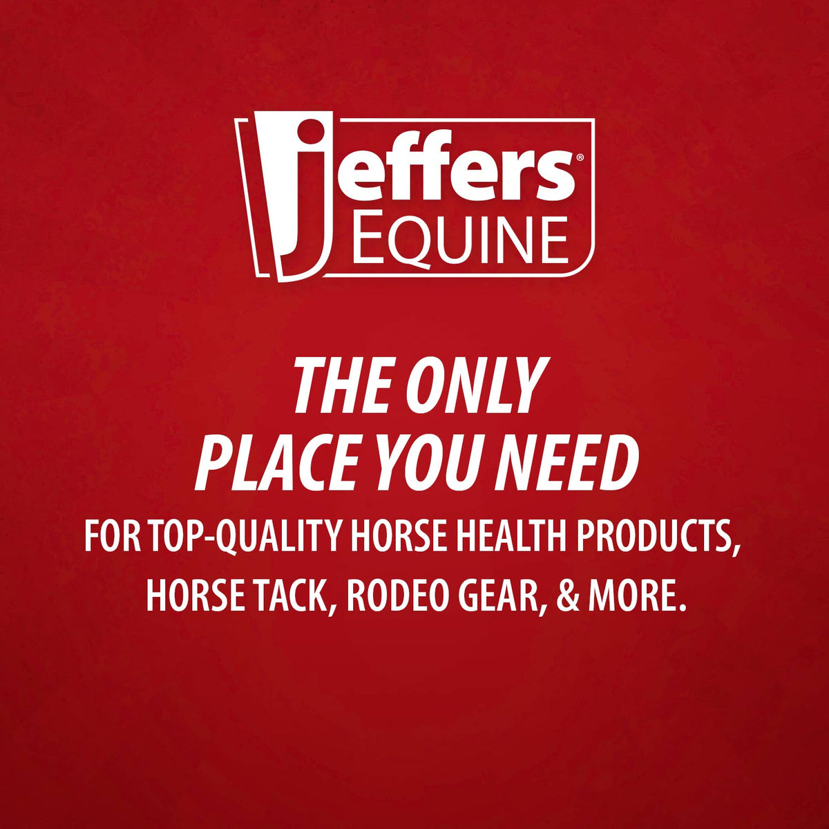 Jeffers Protective Horse Boots Solid Colors | 2-Pack