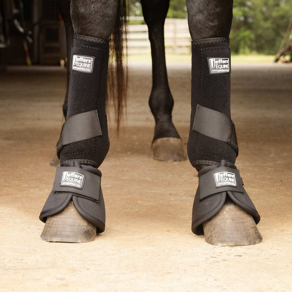 Jeffers Protective Horse Boots Solid Colors | 2-Pack