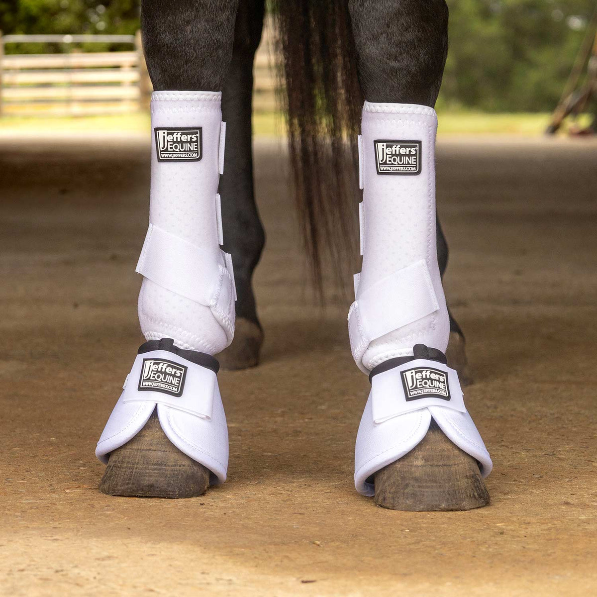 Jeffers Protective Horse Boots Solid Colors | 2-Pack