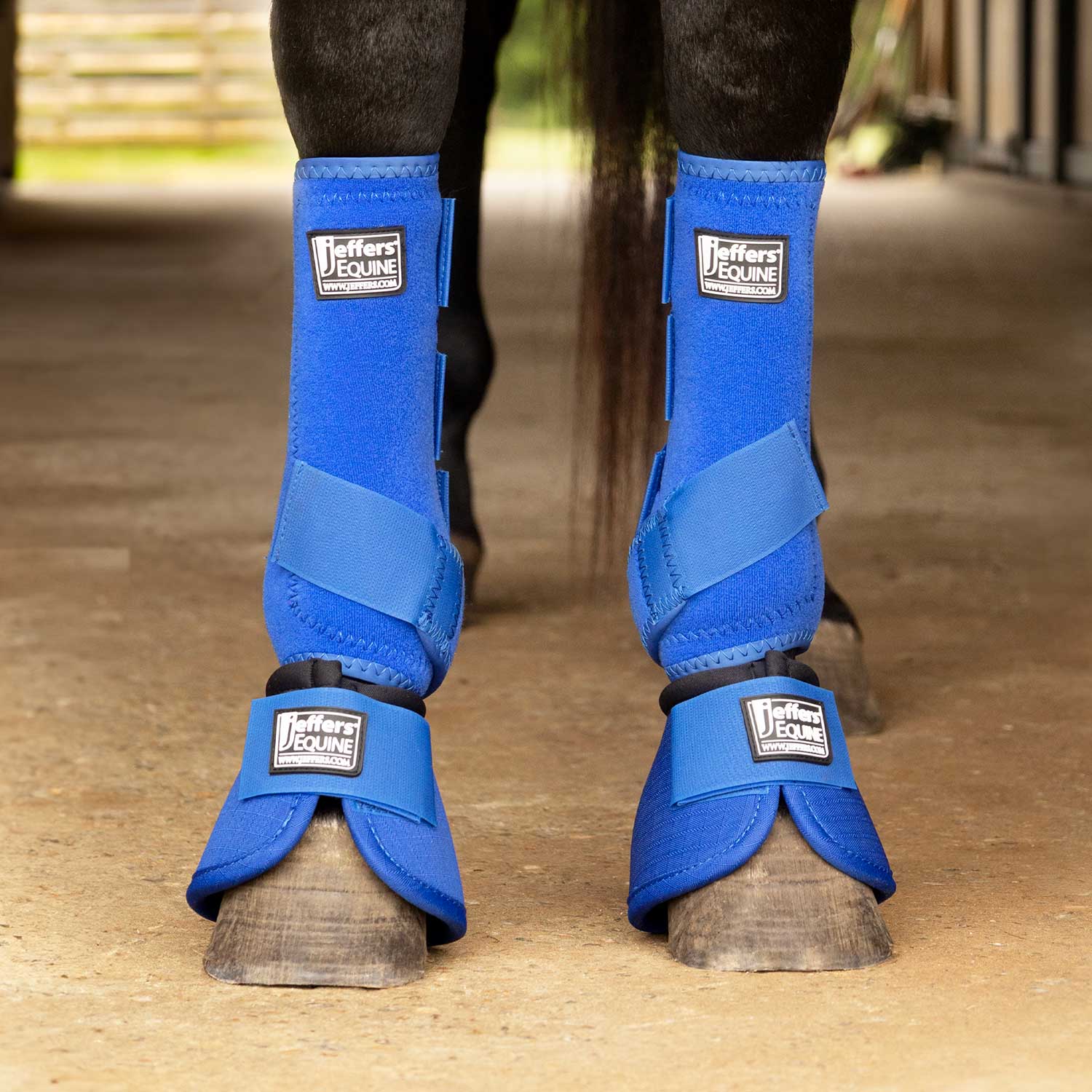 Jeffers Protective Horse Boots Solid Colors | 2-Pack
