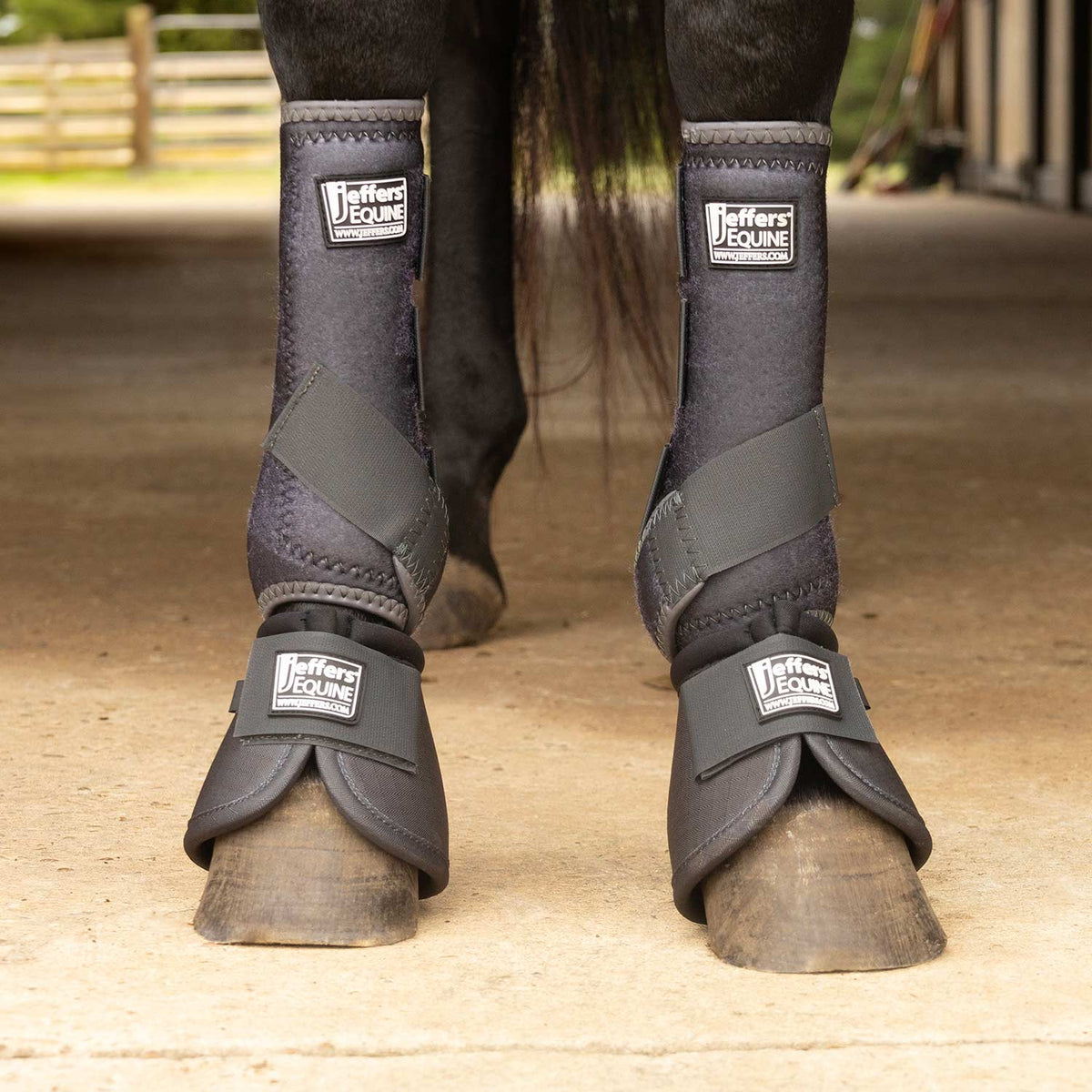Jeffers Protective Horse Boots Solid Colors | 2-Pack