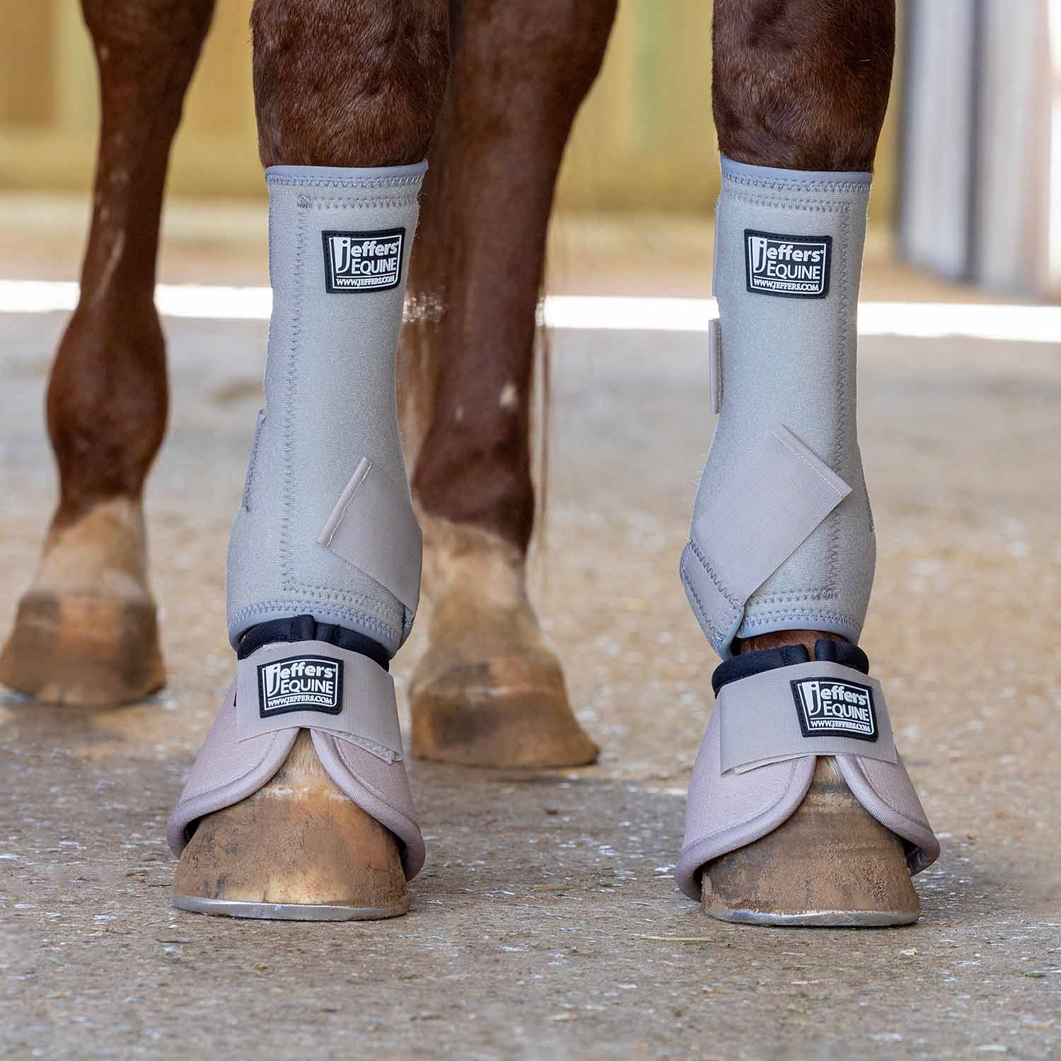 Jeffers Protective Horse Boots Solid Colors | 2-Pack